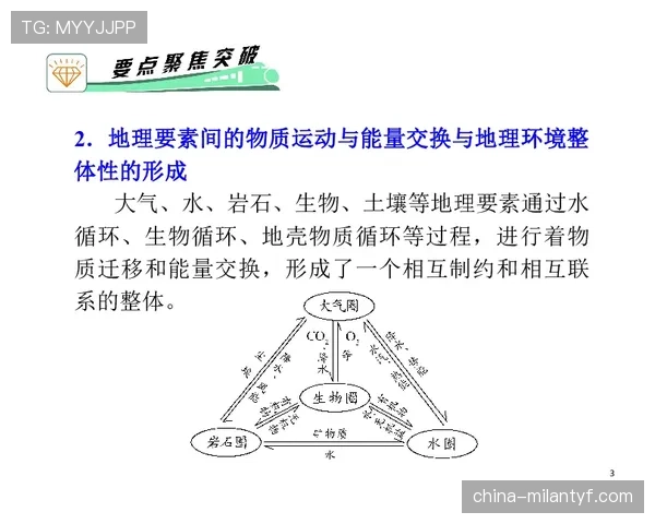 莱奥与福登进攻多面手角色差异及体系适配性分析